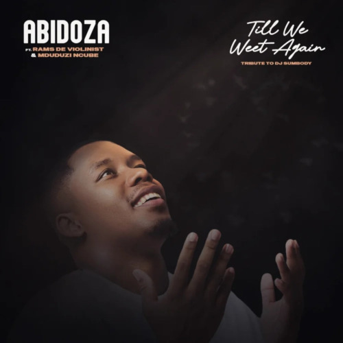 Abidoza – Till We Meet Again (Tribute to DJ Sumbody) ft Mduduzi Ncube & Rams De Violinist