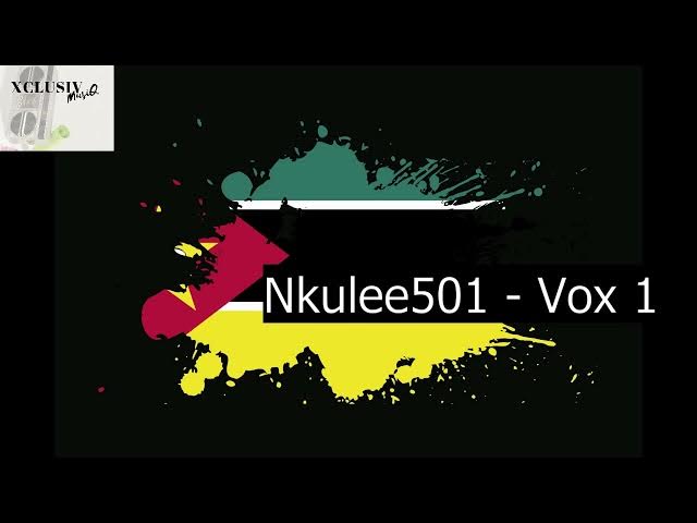 Nkulee501 – Vox 1