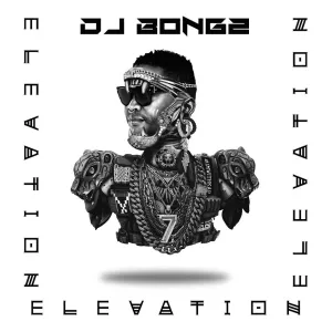 DJ Bongz – Mosquito Ft Stoorne