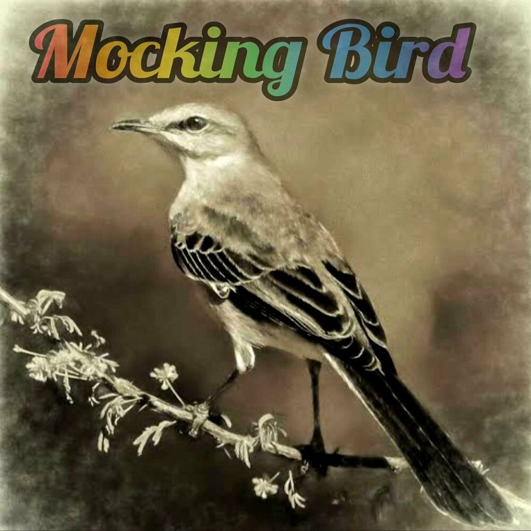 Luxury SA – Mocking Bird