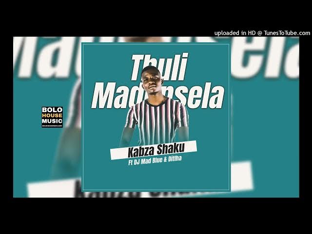 Kabza Shaku – Thuli Madonsela Ft DJ Mad Blue & Ditlha